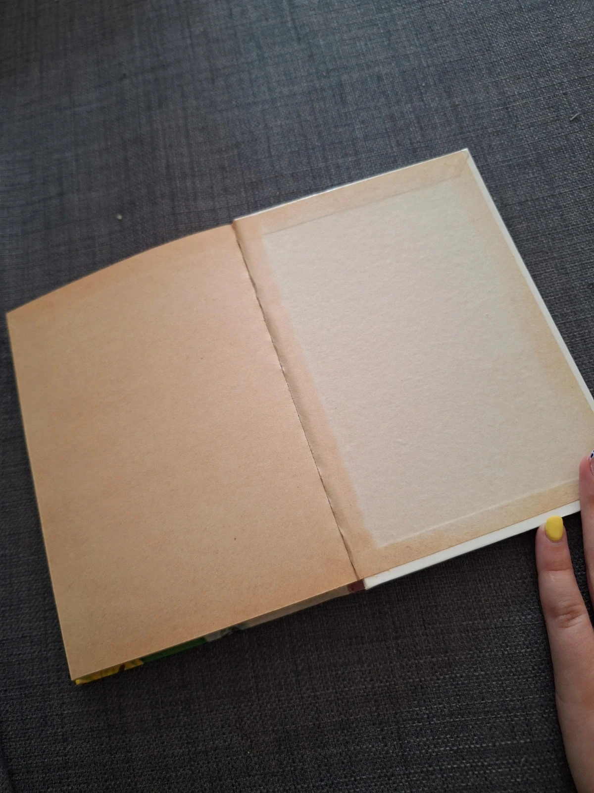 Livro Dois garotos para um cavalo Rene Guillot – photo 6